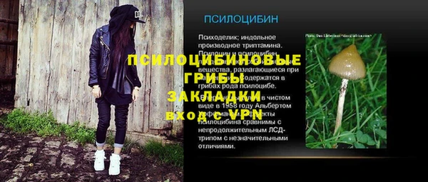 соль курить ск Алзамай