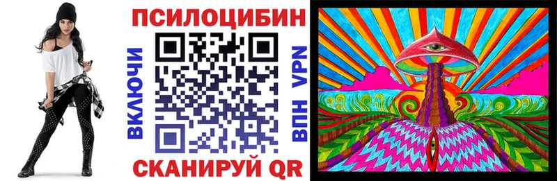 shop наркотические препараты  Задонск  Галлюциногенные грибы Psilocybe  как найти  
